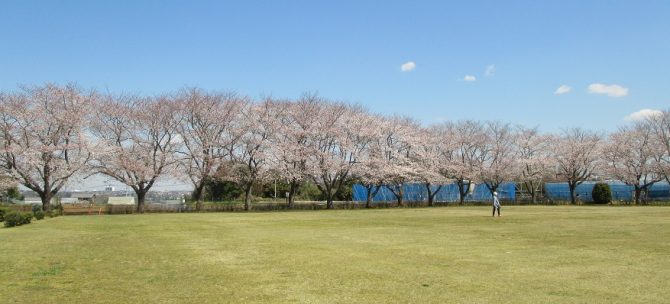 ～春よ来い、早く来い～